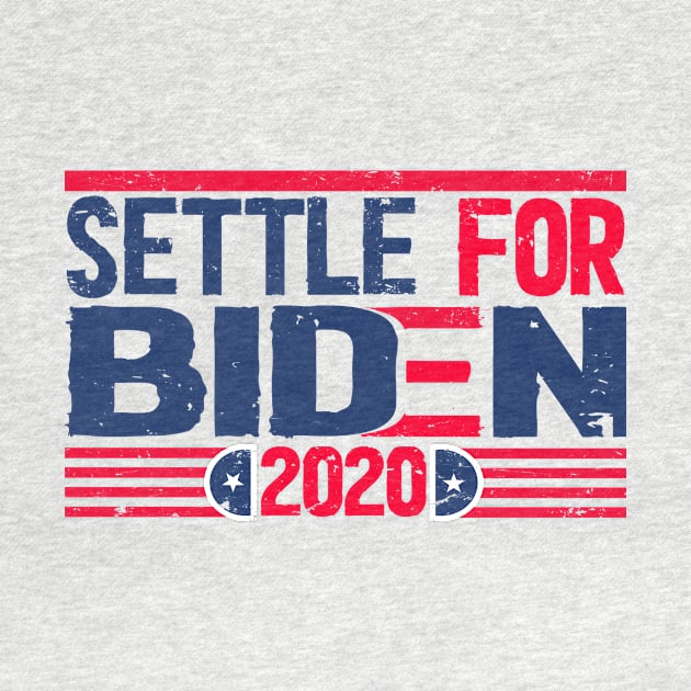 Settle for Biden 2020 election by Netcam